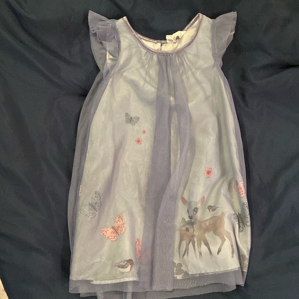 H & M tulle dress. Size 2t